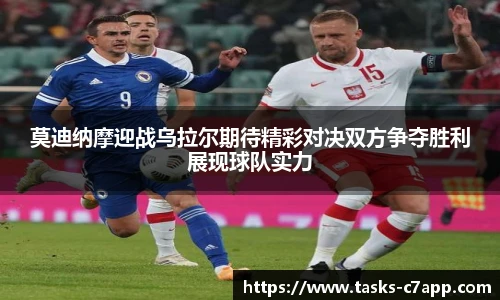 c7娱乐官网