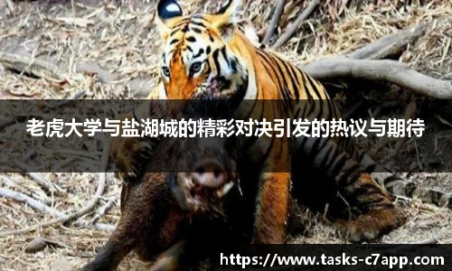c7娱乐官网